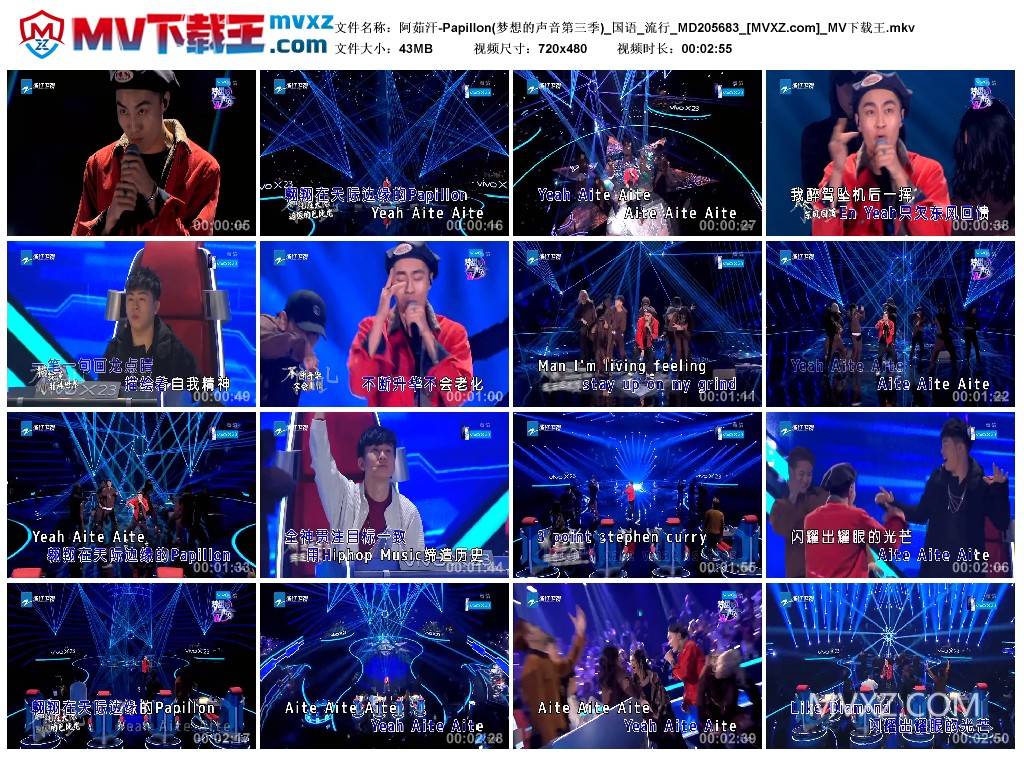 阿茹汗-Papillon(梦想的声音第三季)_国语_流行_MD205683